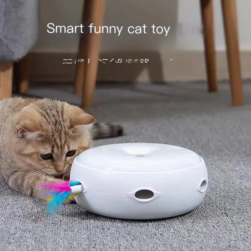 Smart Cat Turntable Play Toy