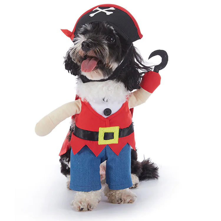 Halloween Dog Outfits