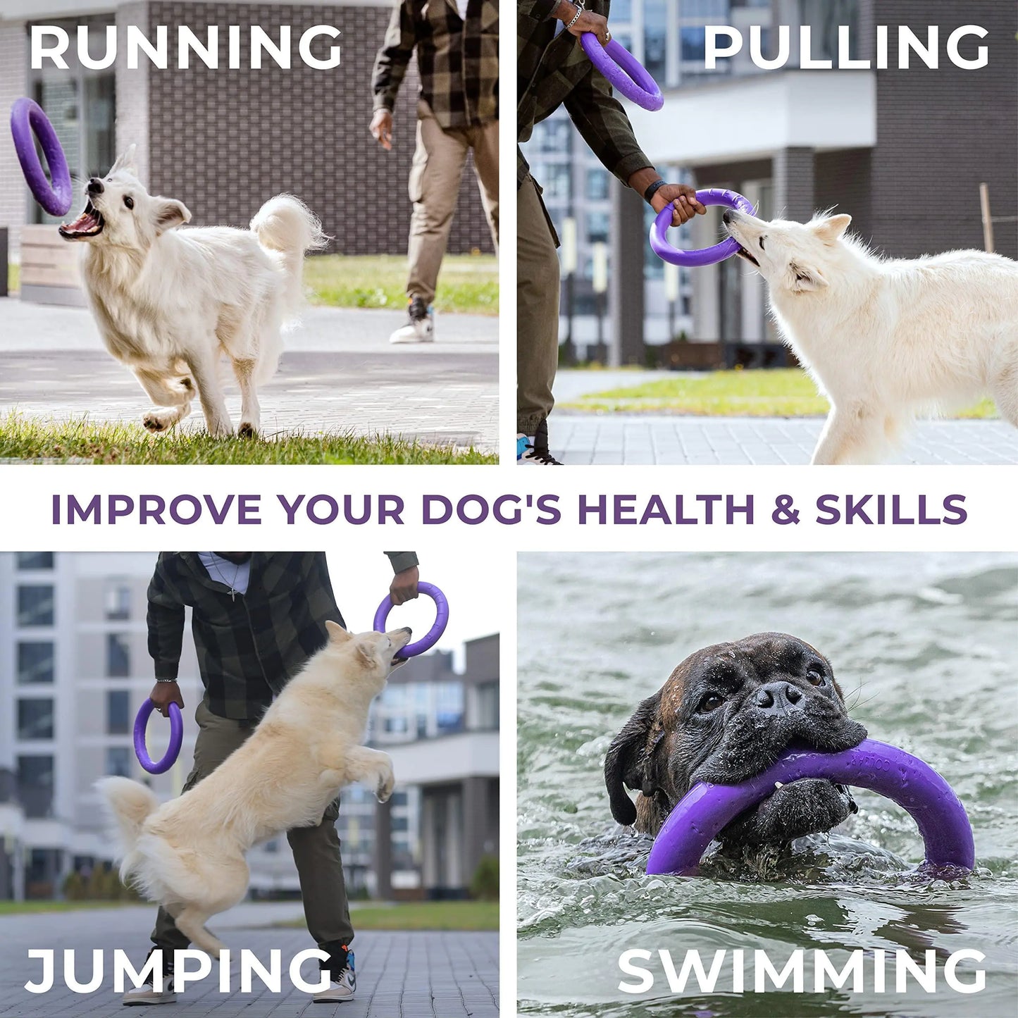 PULLER Interactive Dog Rings