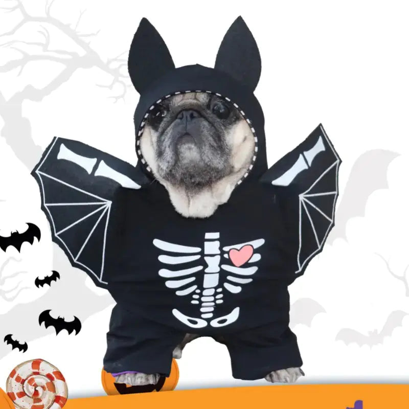 Bat Wings Pet Costume