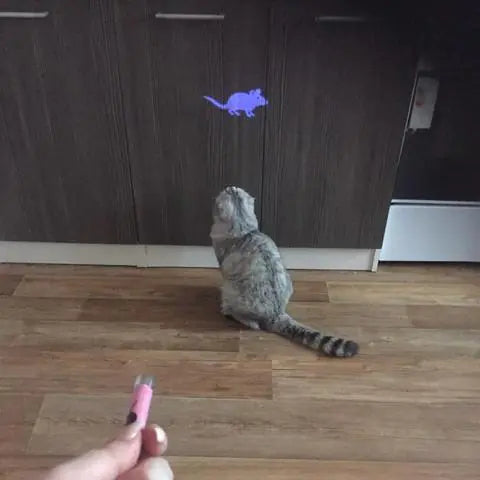 LED Cat Projector Toy