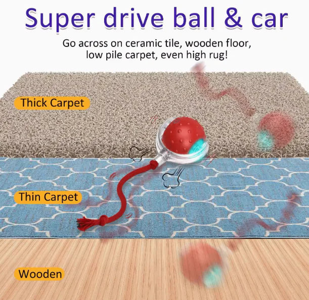 Pet Play Ball (Red)