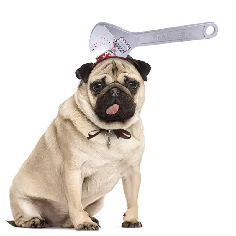 Whimsical Halloween Pet Headwear