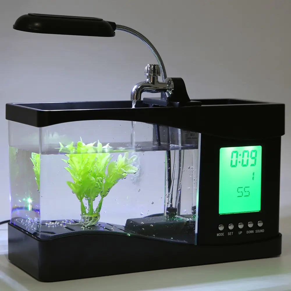 Desktop Aquarium Clock