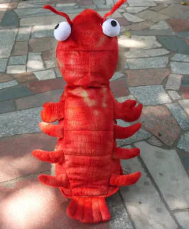 Pet Lobster Outfit