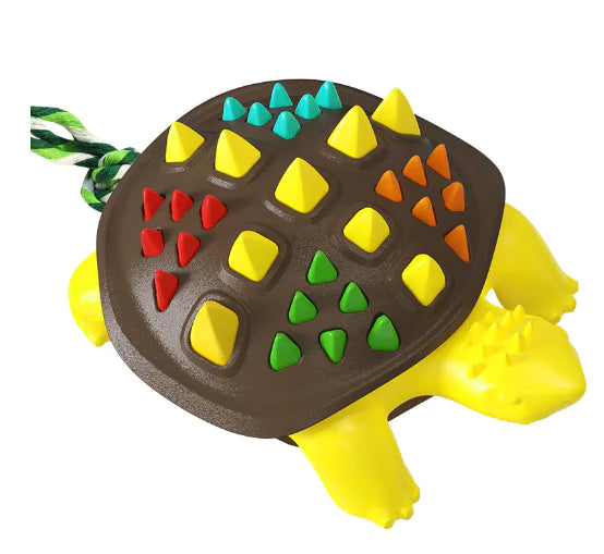 Turtle Dental Chew Toy