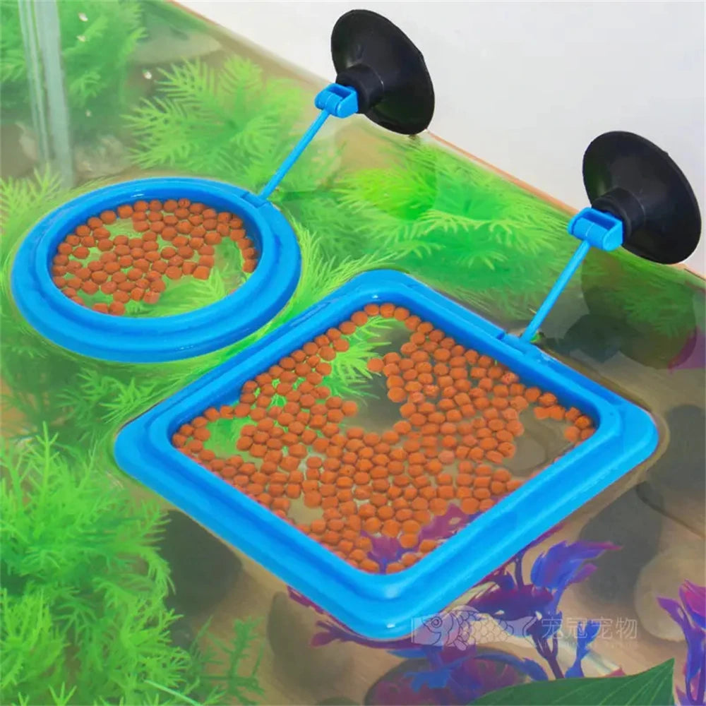 Fish Feeding Ring Feeder Fishing Equipment For Food Flakes Aquarium Mini Accessory Fish Tank Tool Water Koi Tropical Guppy