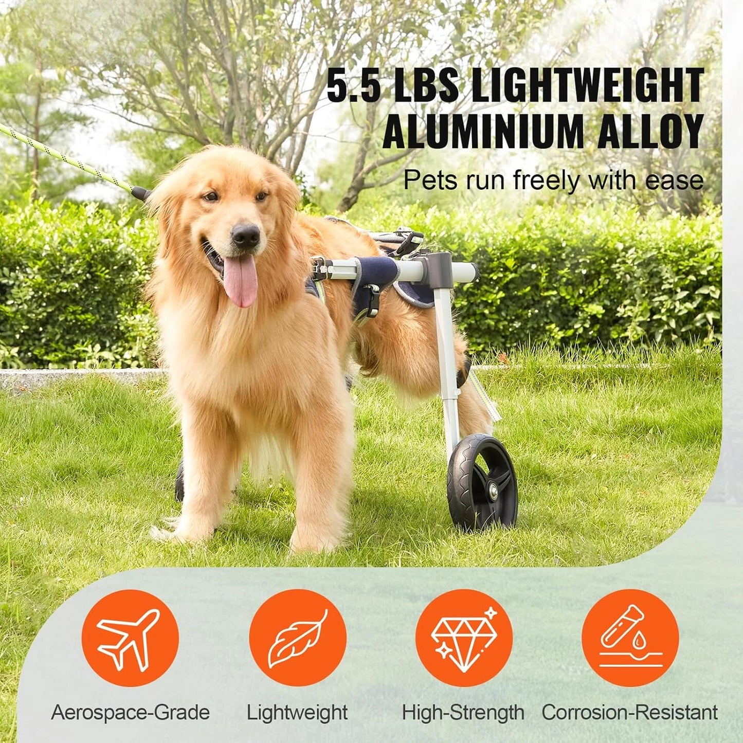 2 Wheels Dog Wheelchair for Back Legs, Pet Wheelchair Lightweight & Adjustable Assisting in Healing, Dog Cart/Wheelchair
