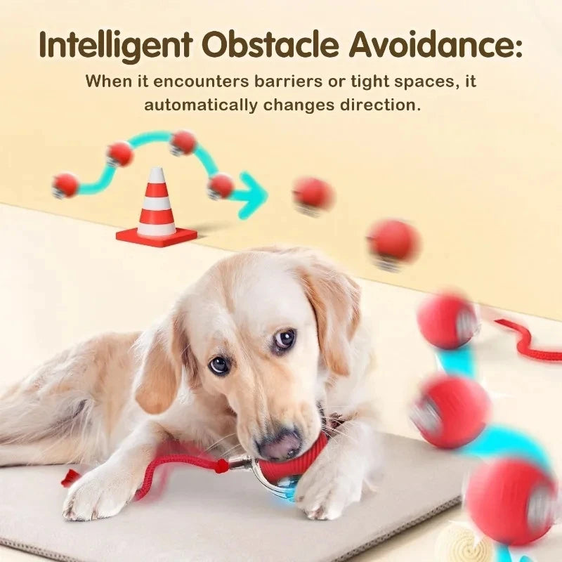 Interactive Dog Toys Rechargeable Pet Interactive Toys Electric Cats Ball Automatic Rolling Fake Tail Ball Dog Cats Toy
