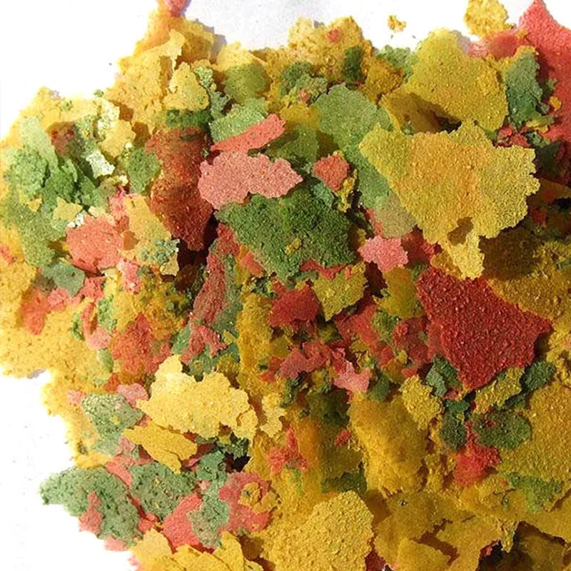 Immune-Boosting Tropical Fish Food