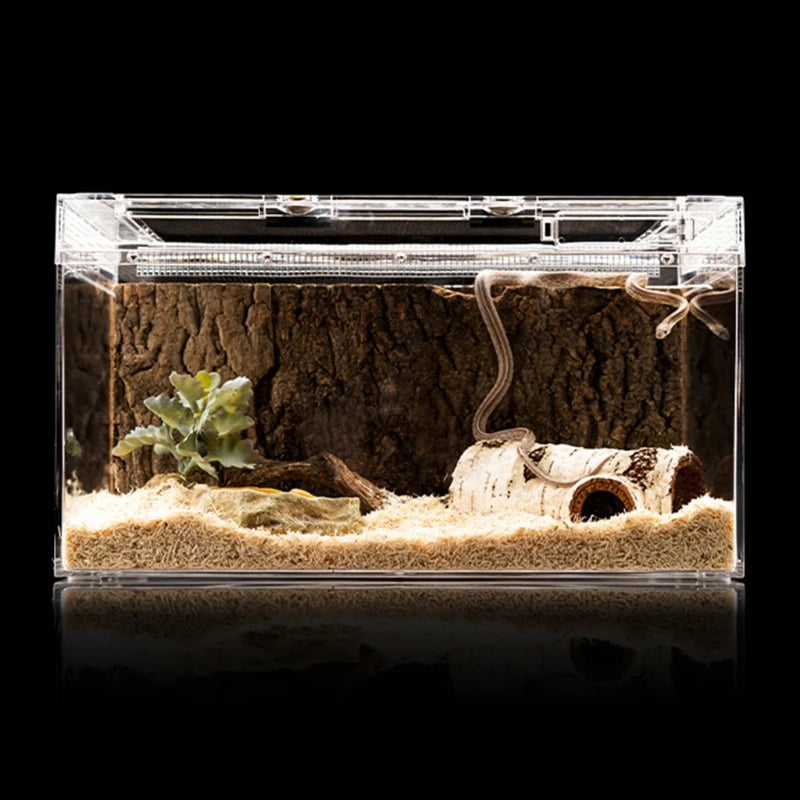 Realistic Birch Log Reptile Hideout