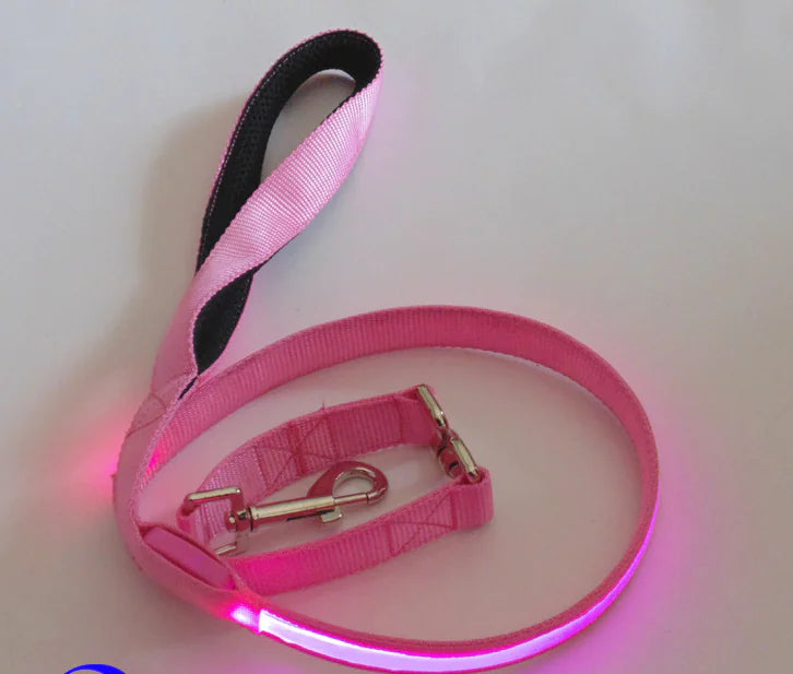 Reflective Dog Harness & Lead