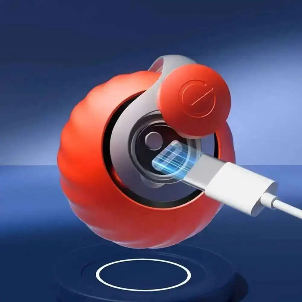 Smart Interactive Pet Ball