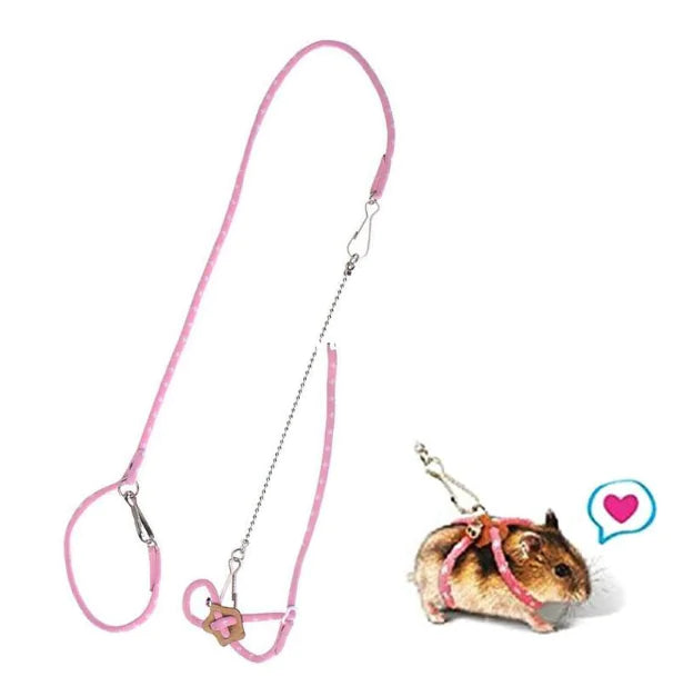 Small Pet Adventure Leash