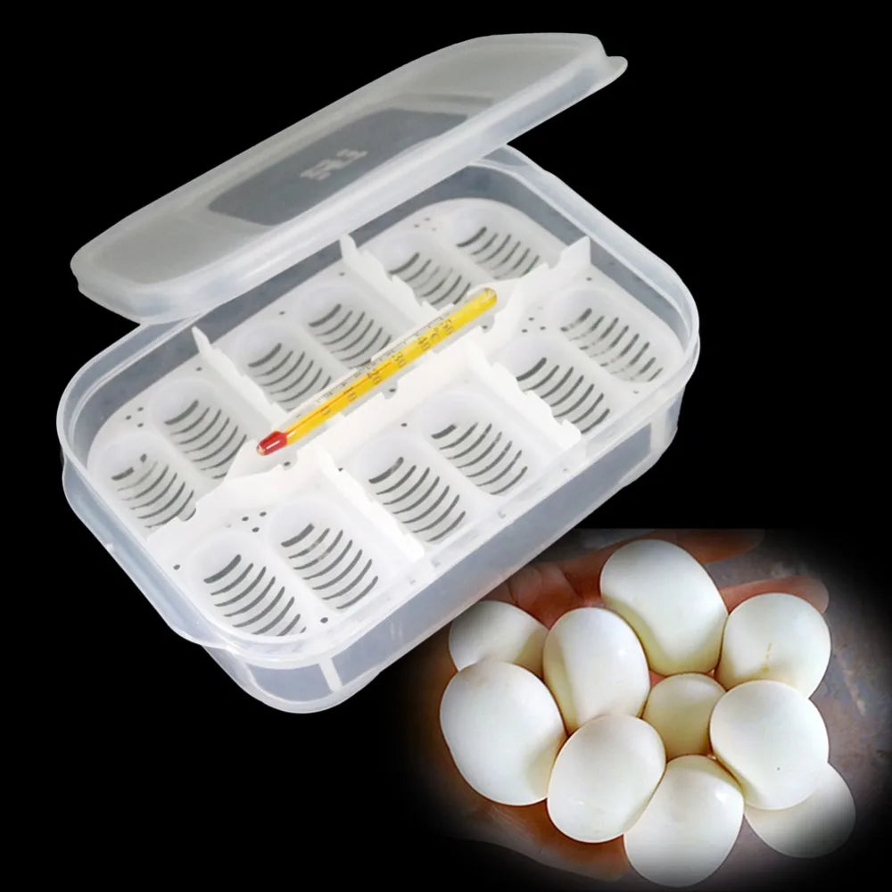 Reptile Egg Incubation Tray (12-Slot)