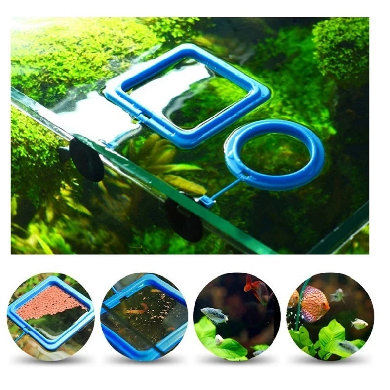 Floating Aquarium Feeding Ring