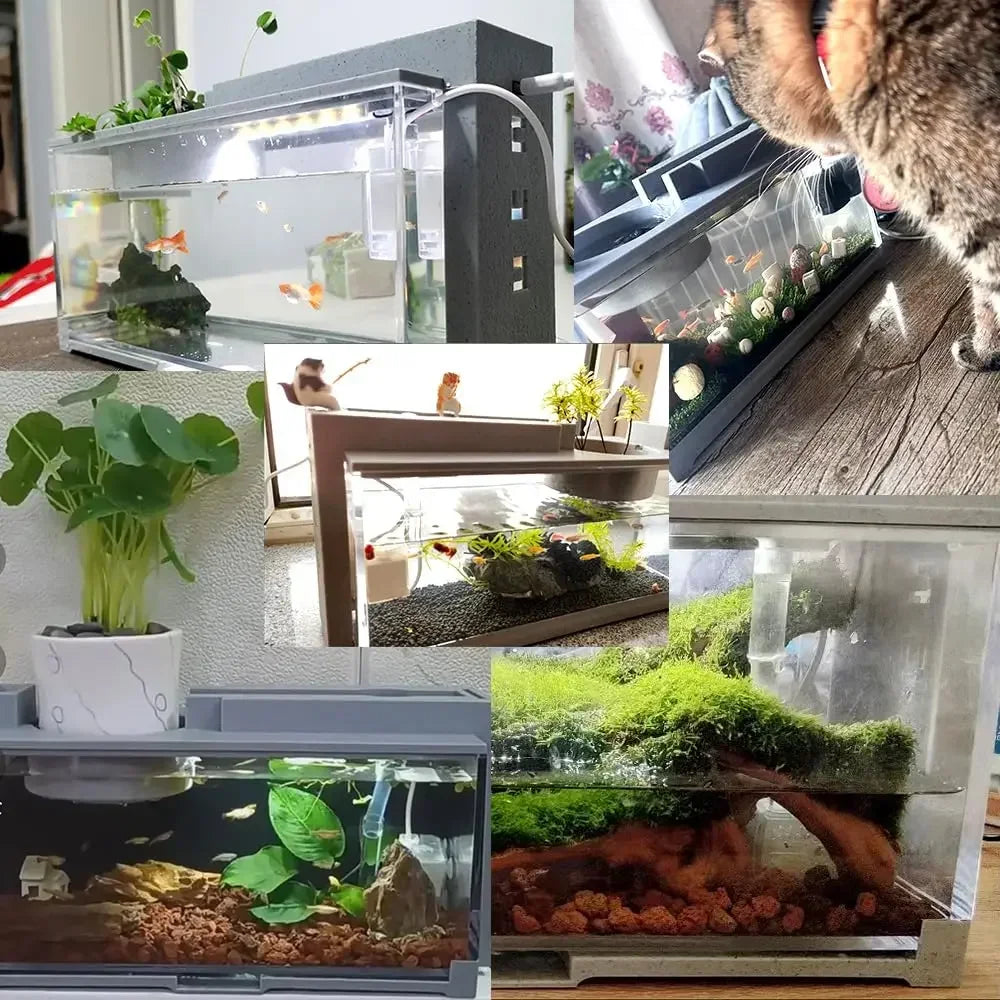 USB Powered Desktop Fish Tank