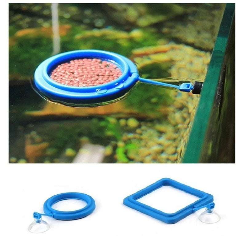 Floating Aquarium Feeding Ring