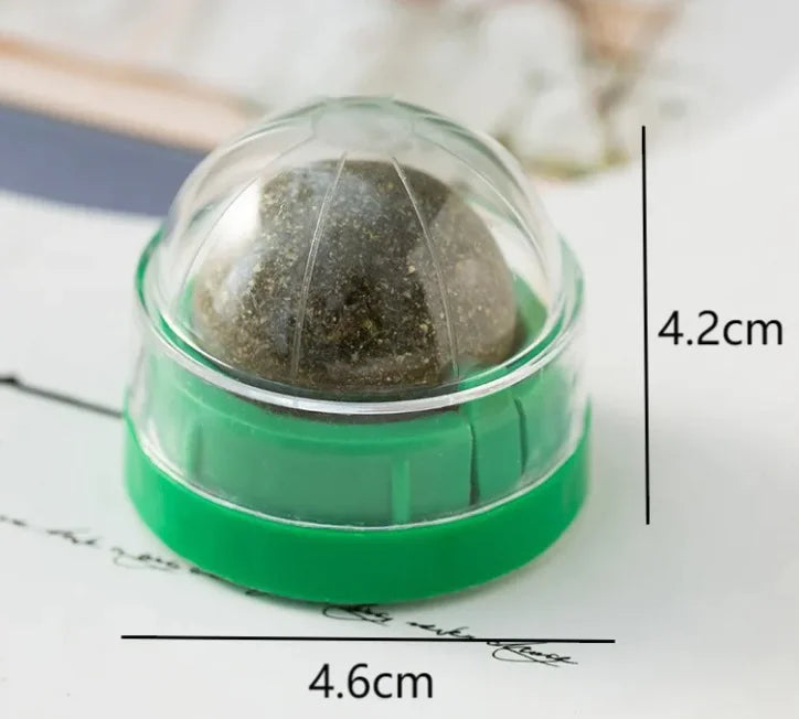 Durable Plastic Cat Toy