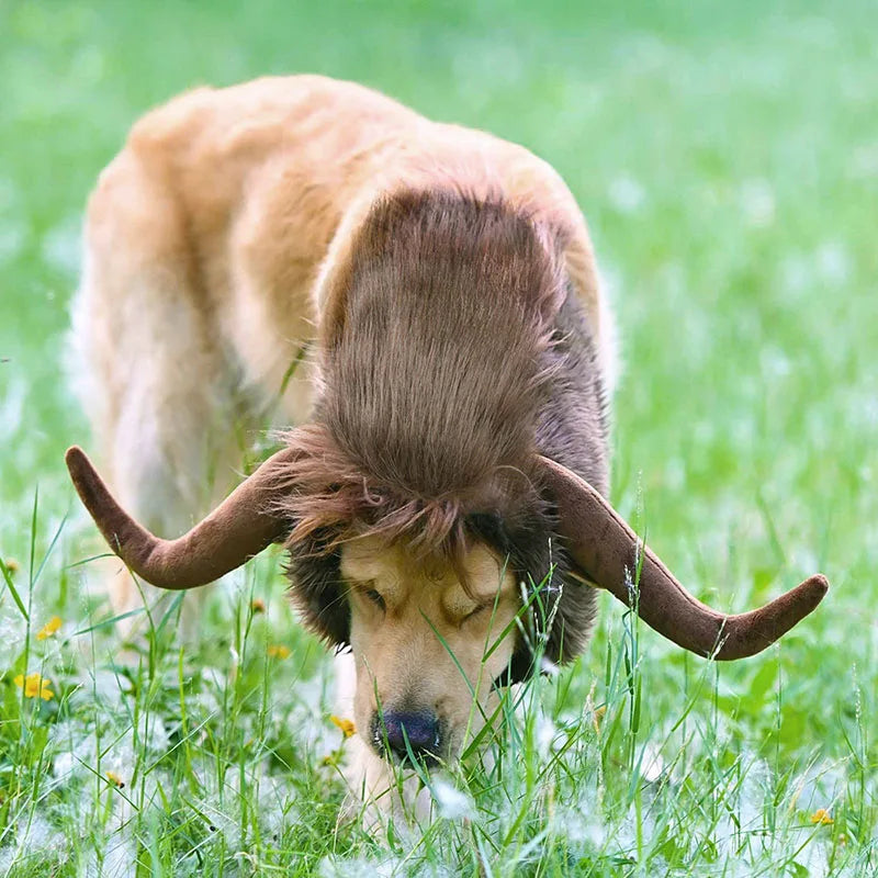 Dog Lion Mane Wig (with Horns)