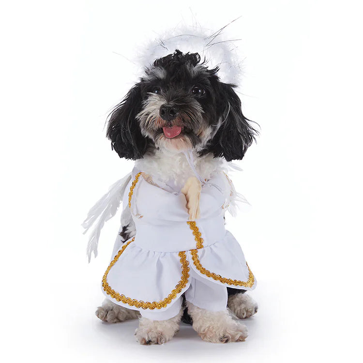 Halloween Dog Outfits
