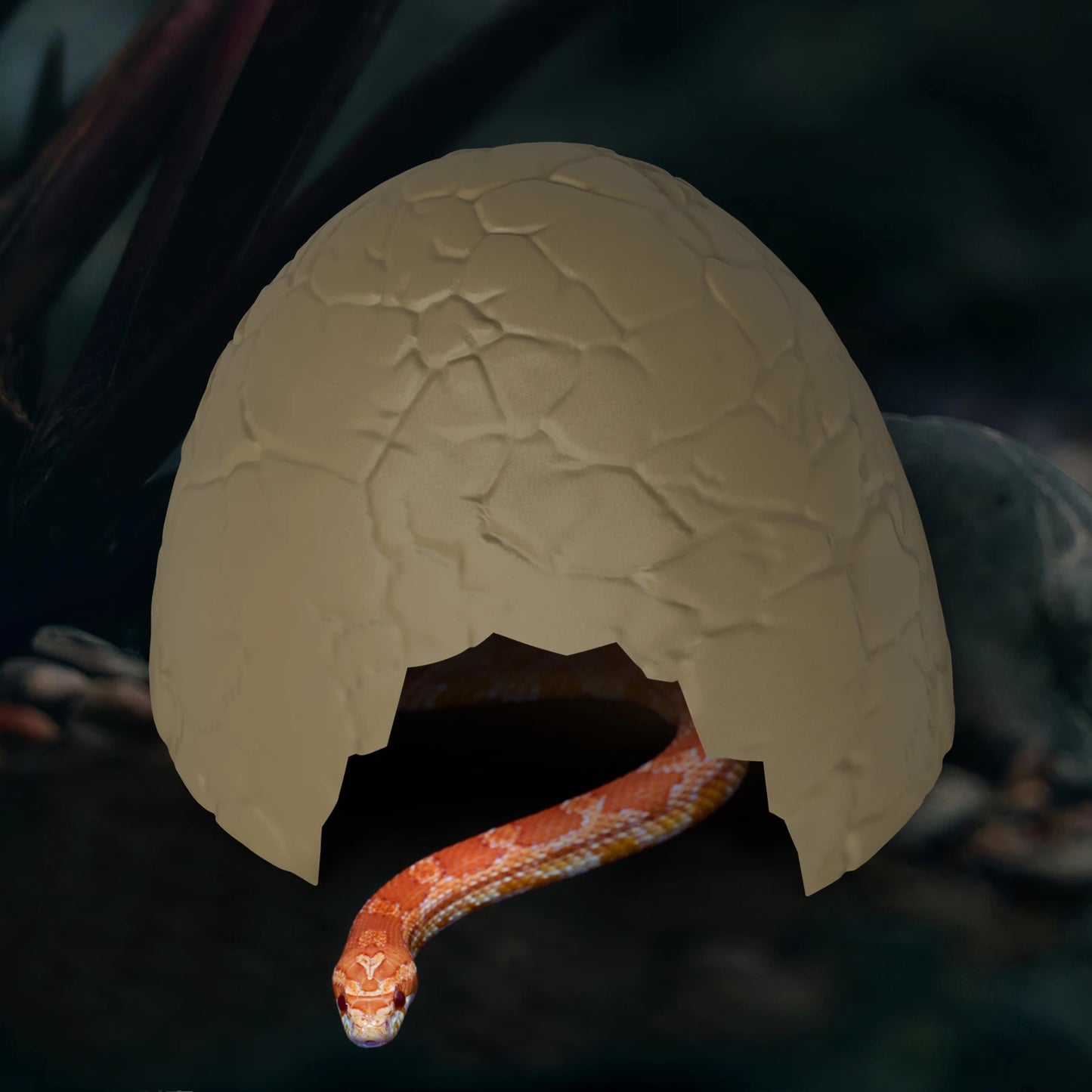 Eggshell Reptile Hideout