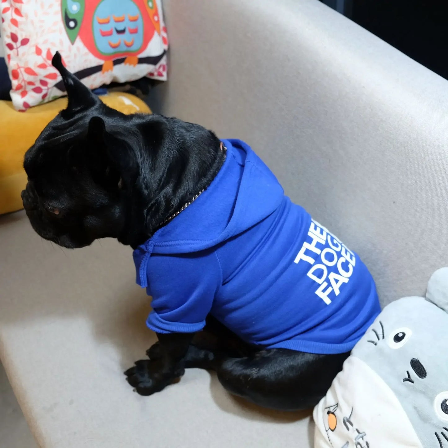 Reflective Winter Dog Hoodie