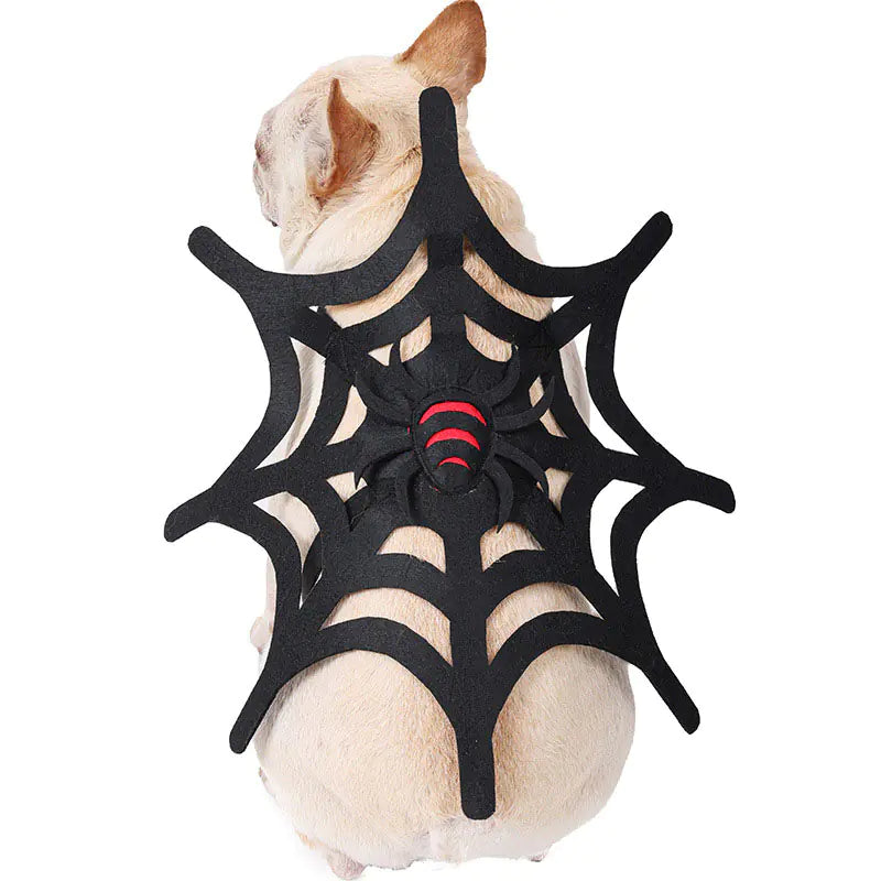 Pet Spider Web Costume