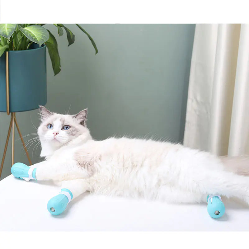 Silicone Cat Claw Covers
