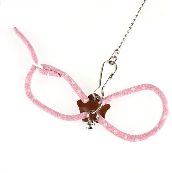 Small Pet Adventure Leash