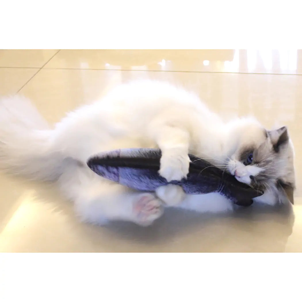 Catnip Fish Play Toy