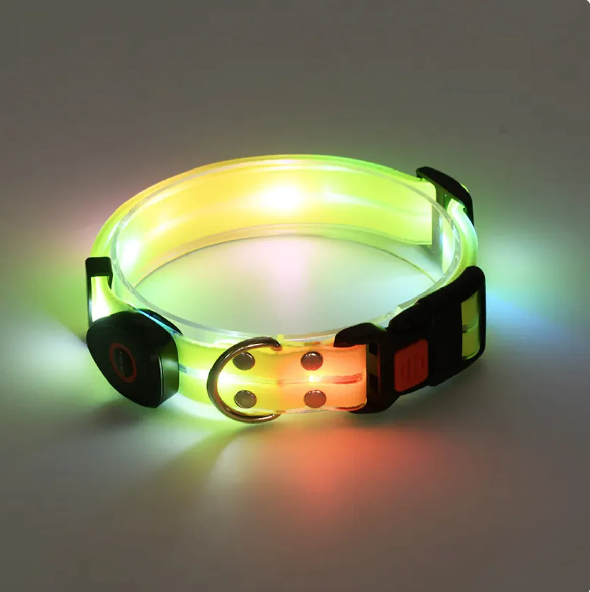Illuminated Pet Collar & Leash