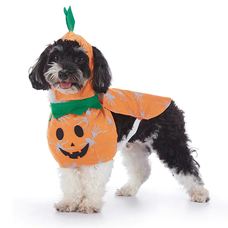 Halloween Dog Outfits