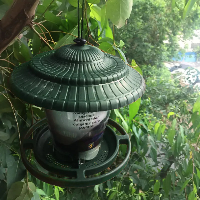 Transparent Hanging Bird Feeder for Indoor/Outdoor Use