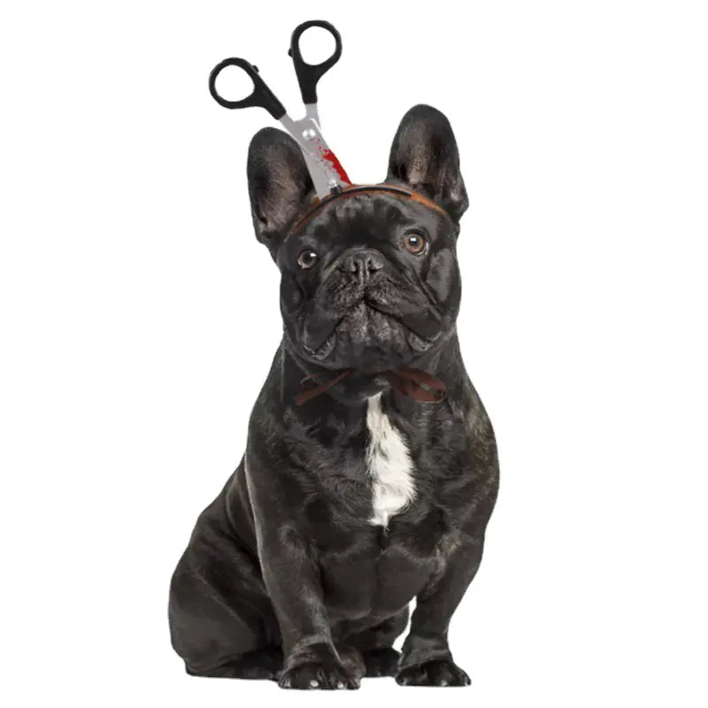 Whimsical Halloween Pet Headwear