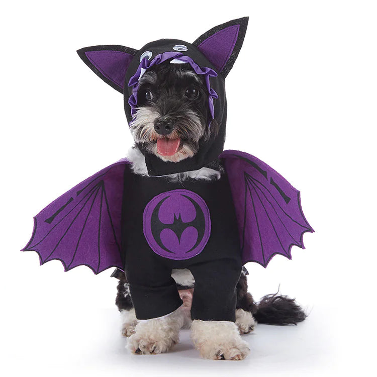 Halloween Dog Outfits
