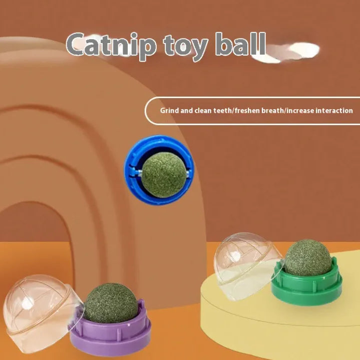 Durable Plastic Cat Toy