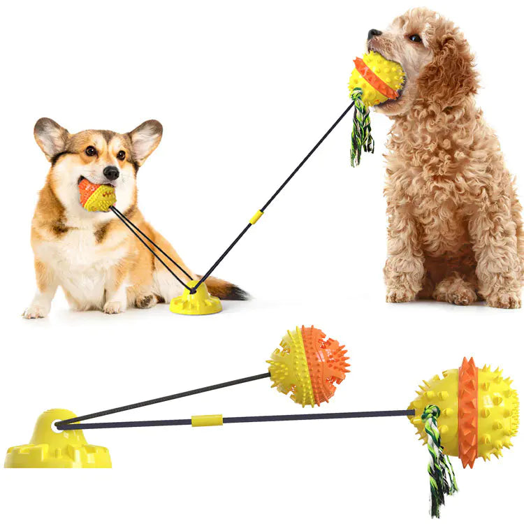 Powerful Suction Dog Toy