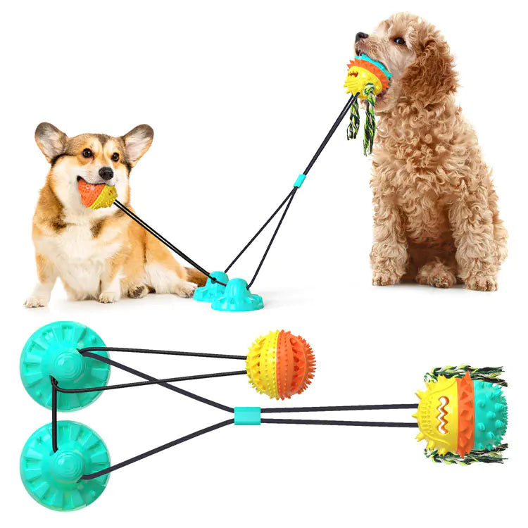 Powerful Suction Dog Toy