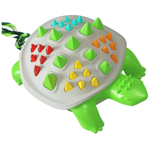 Turtle Dental Chew Toy
