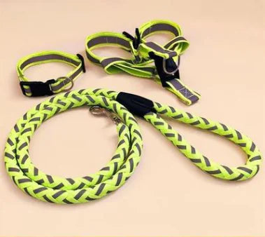 Luminous Reflective Pet Leash