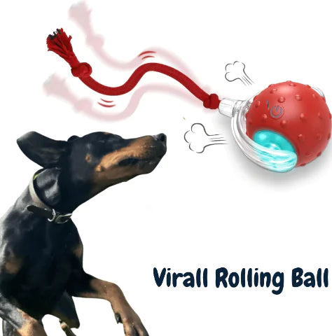 Pet Play Ball (Red)