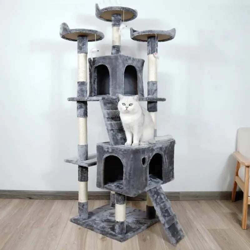 Multi-Level Sisal Cat Activity Tree