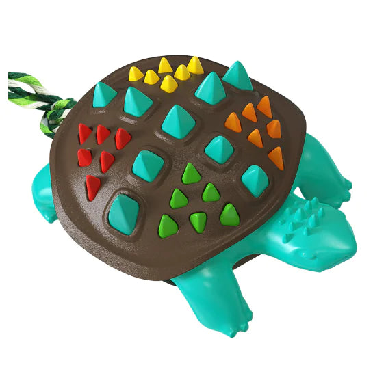 Turtle Dental Chew Toy