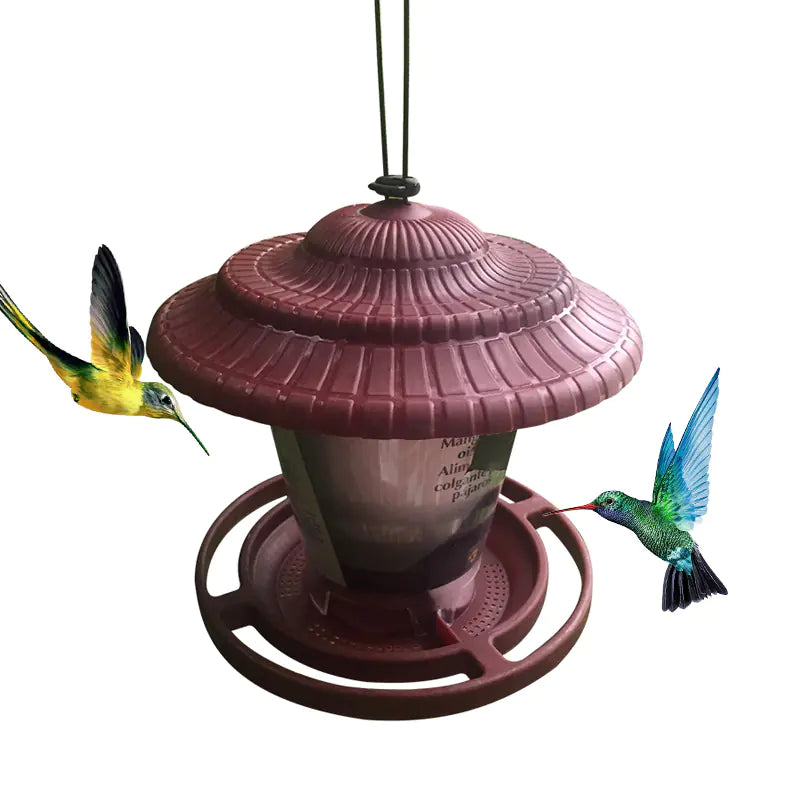 Transparent Hanging Bird Feeder for Indoor/Outdoor Use