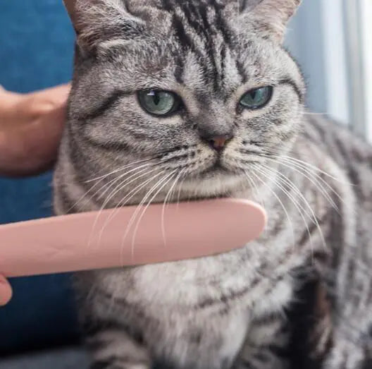 Mimic Cat Tongue Grooming Comb