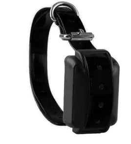 Dog Bark Control Receiver Collar