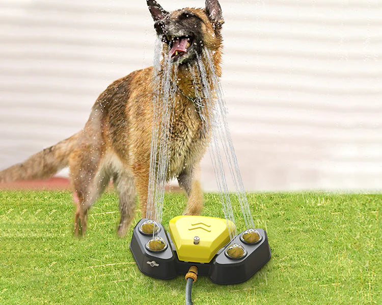 Automatic Pet Water Fountain