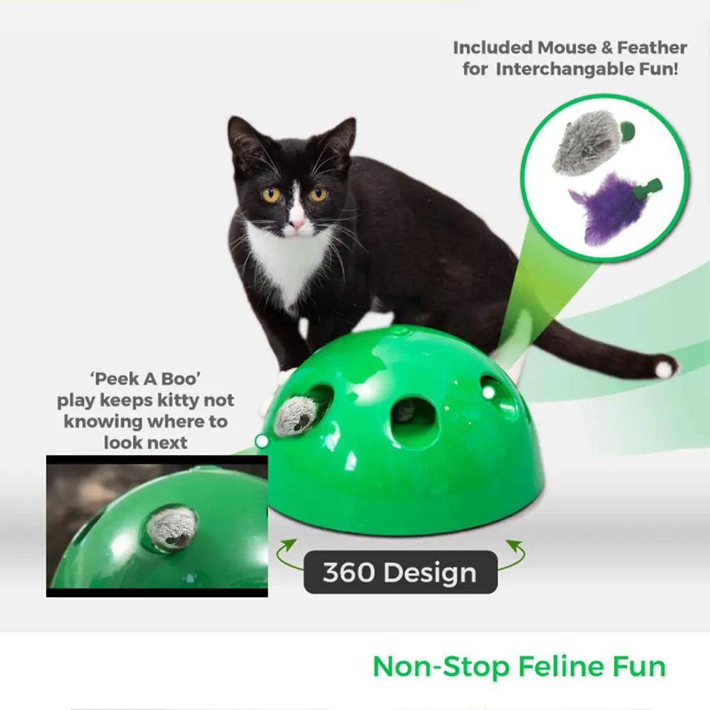 USB Rechargeable Mouse Chase Cat Toy