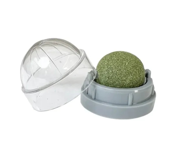 Durable Plastic Cat Toy